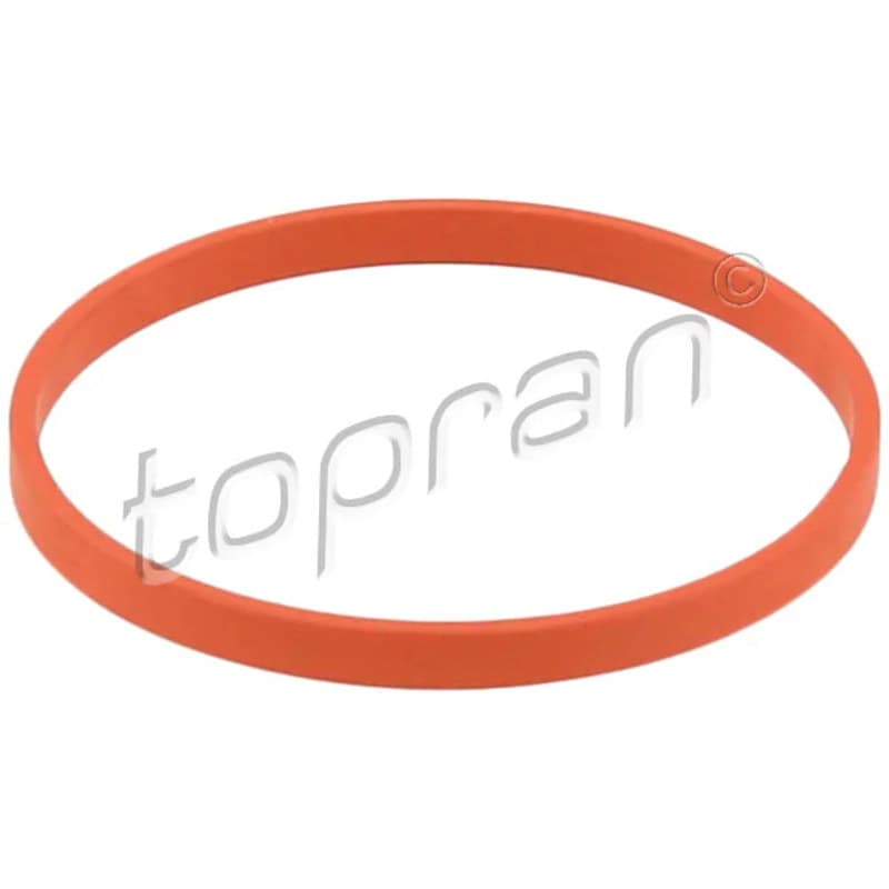 TOPRAN 117 328 tarpiklis, įsiurbimo kolektoriaus korpusas