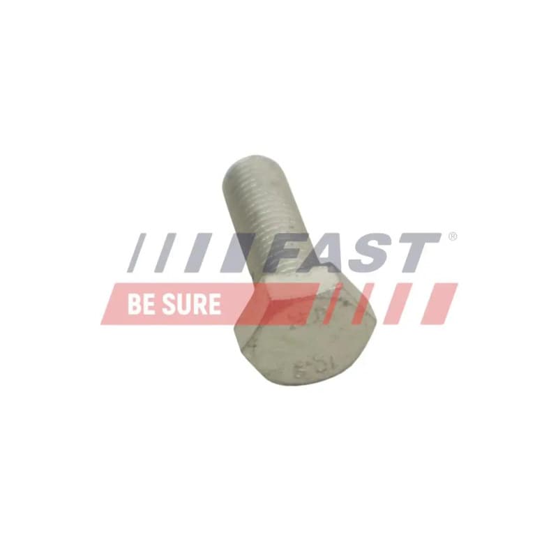 FAST varžtas, stabdžių diskas FT30601