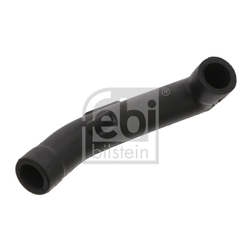 FEBIBILSTEIN žarna, karterio alsuoklis 33863
