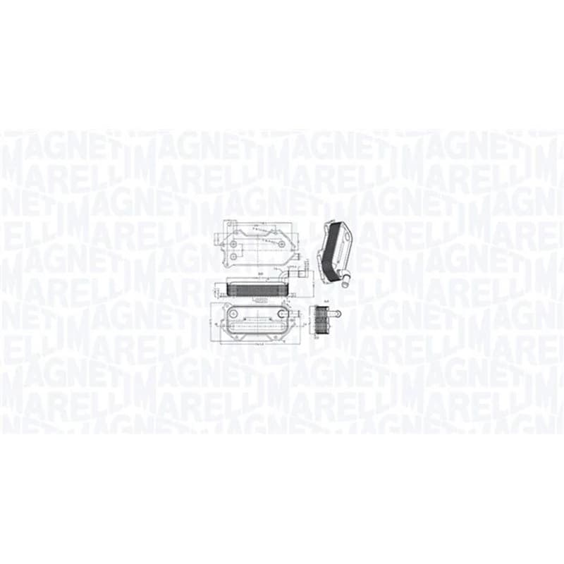 MAGNETIMARELLI alyvos aušintuvas, variklio alyva 350300003000