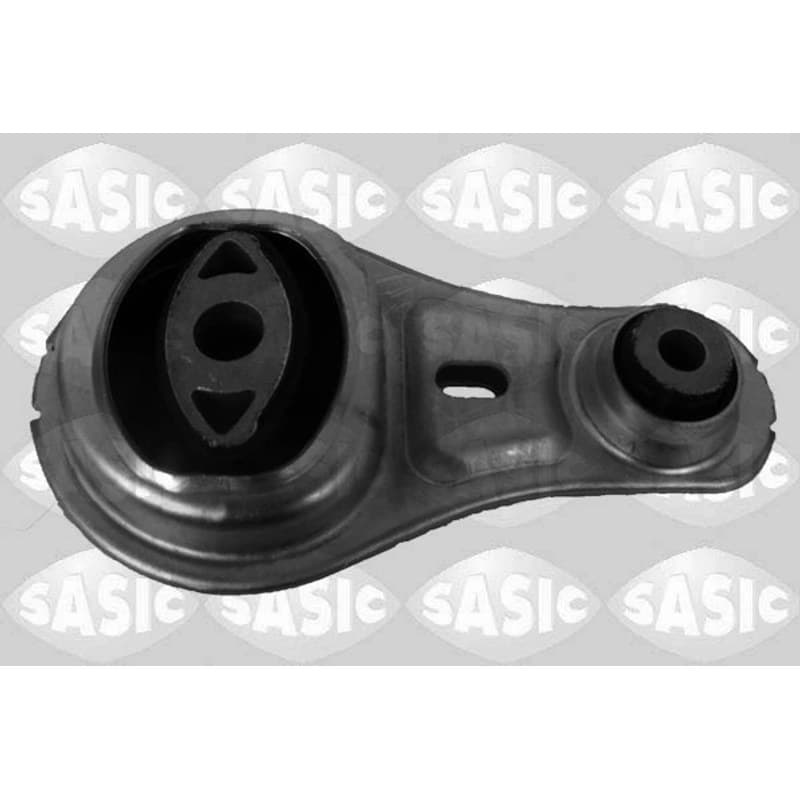 SASIC variklio montavimas 2704085