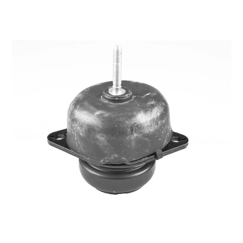TEDGUM variklio montavimas TED61733