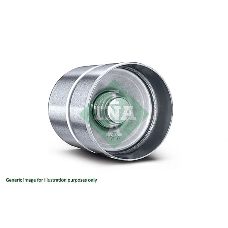 SCHAEFFLERINA Svirtis/kumštelis 420 0273 10