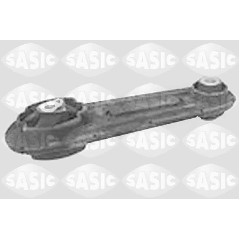 SASIC Variklio montavimas 4001814