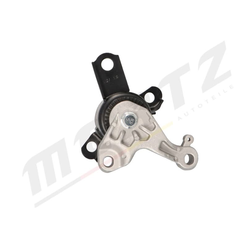 MERTZ variklio montavimas M-S4993