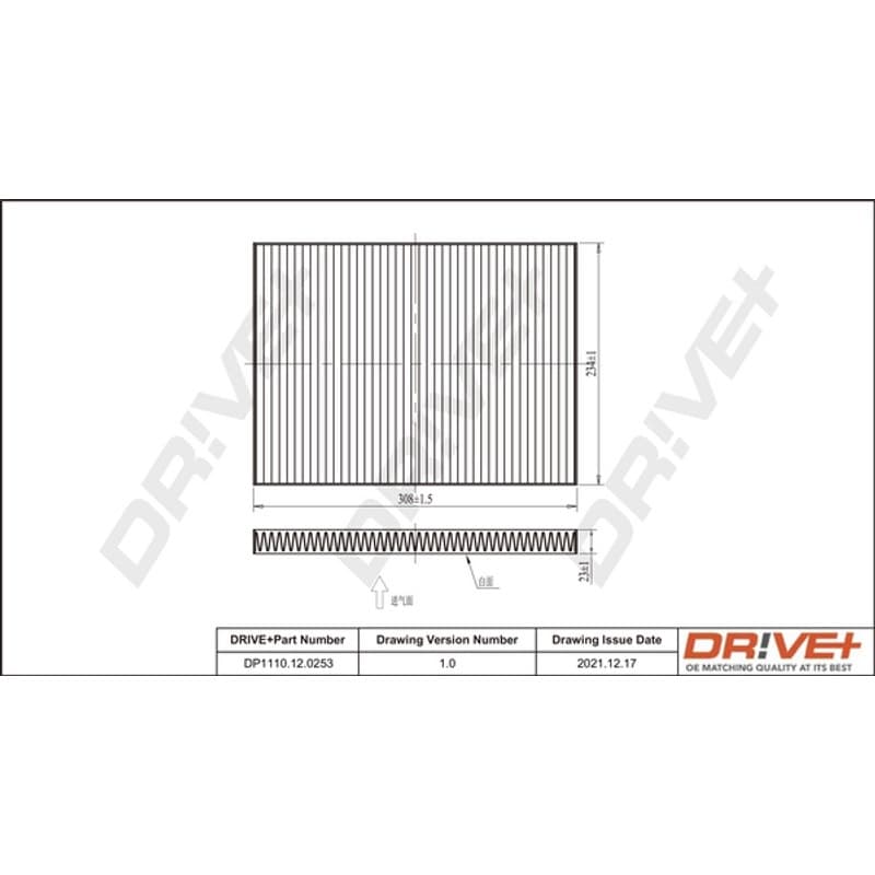 DRVE filtras, salono oras DP1110.12.0253