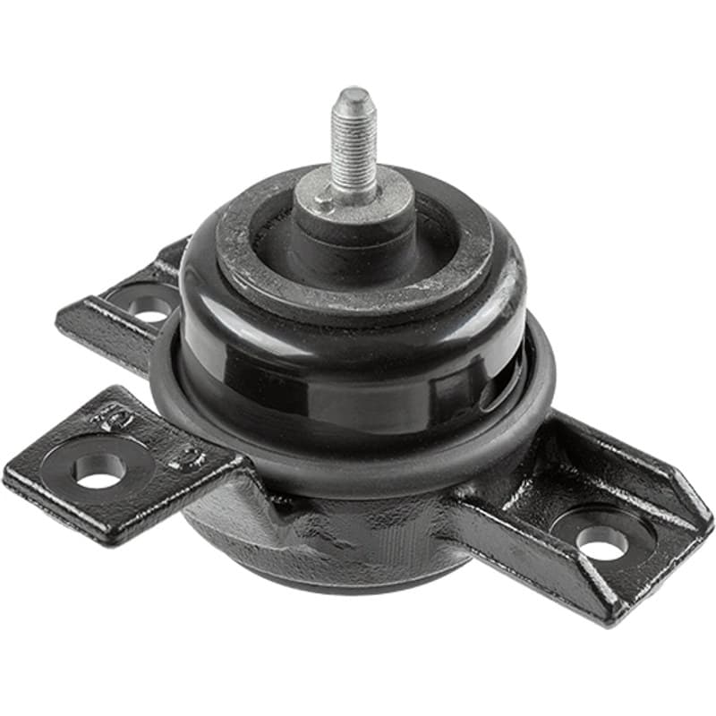 LEMFRDER variklio montavimas 42738 01
