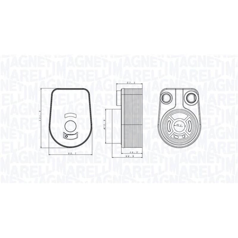 MAGNETIMARELLI alyvos aušintuvas, variklio alyva 350300002800