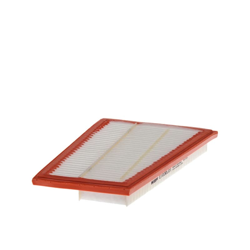 HENGSTFILTER oro filtras E1030L01