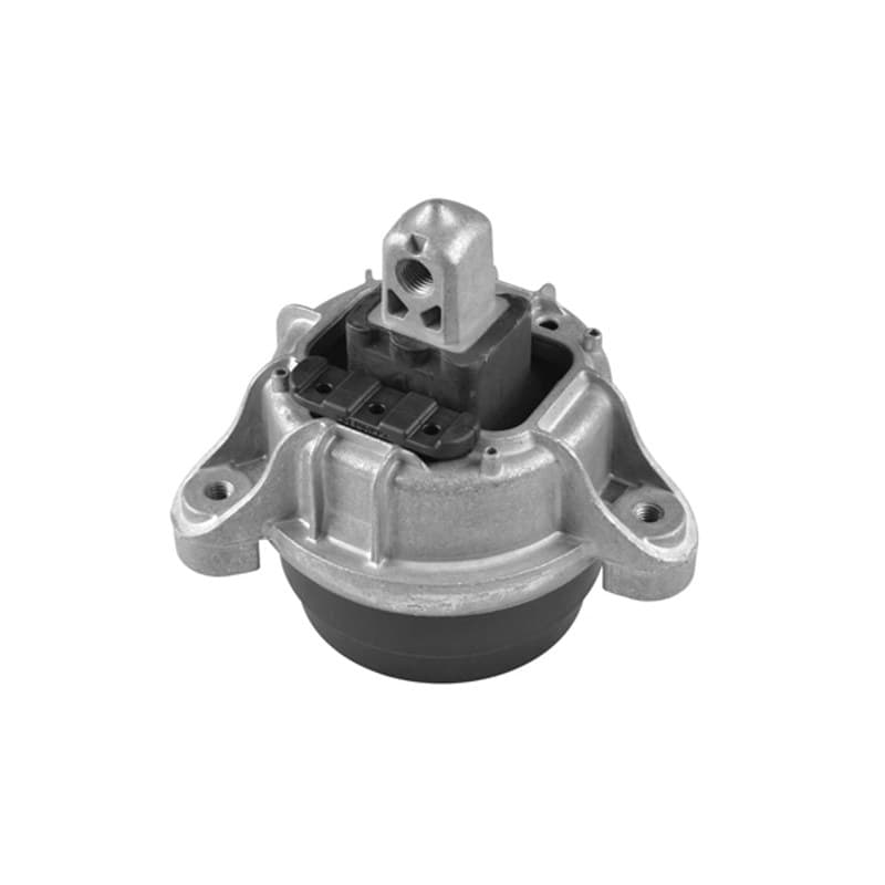 TEDGUM variklio montavimas TED97460