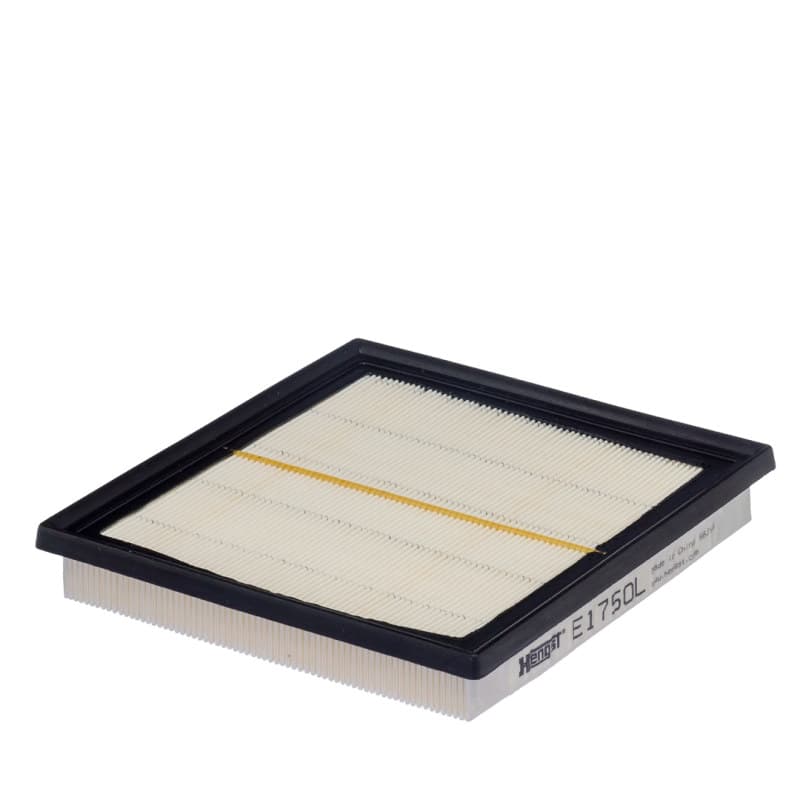 HENGSTFILTER oro filtras E1750L
