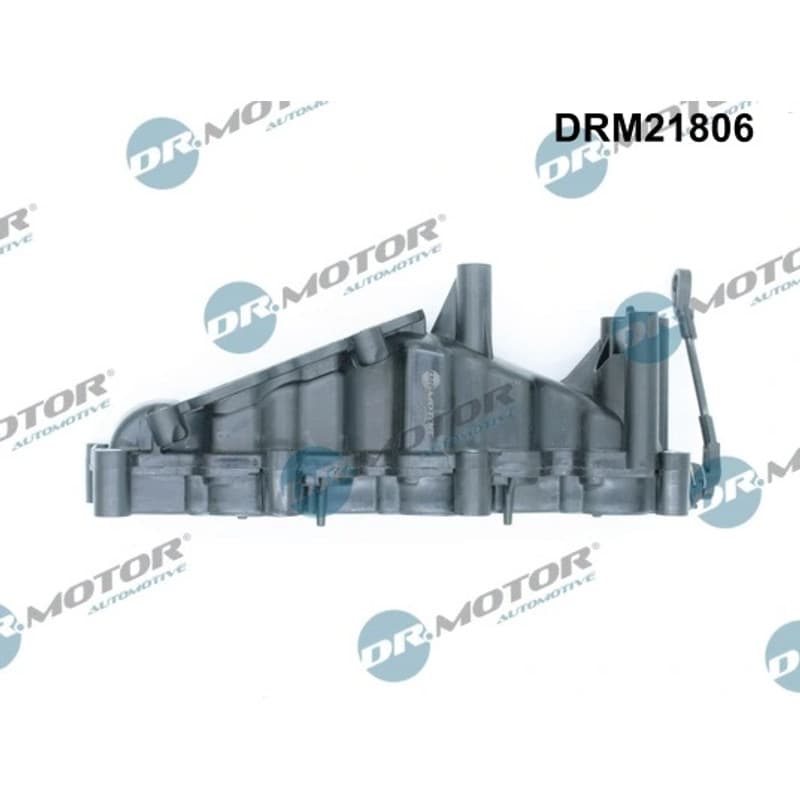 DRMOTORAUTOMOTIVE įsiurbimo kolektoriaus modulis DRM21806