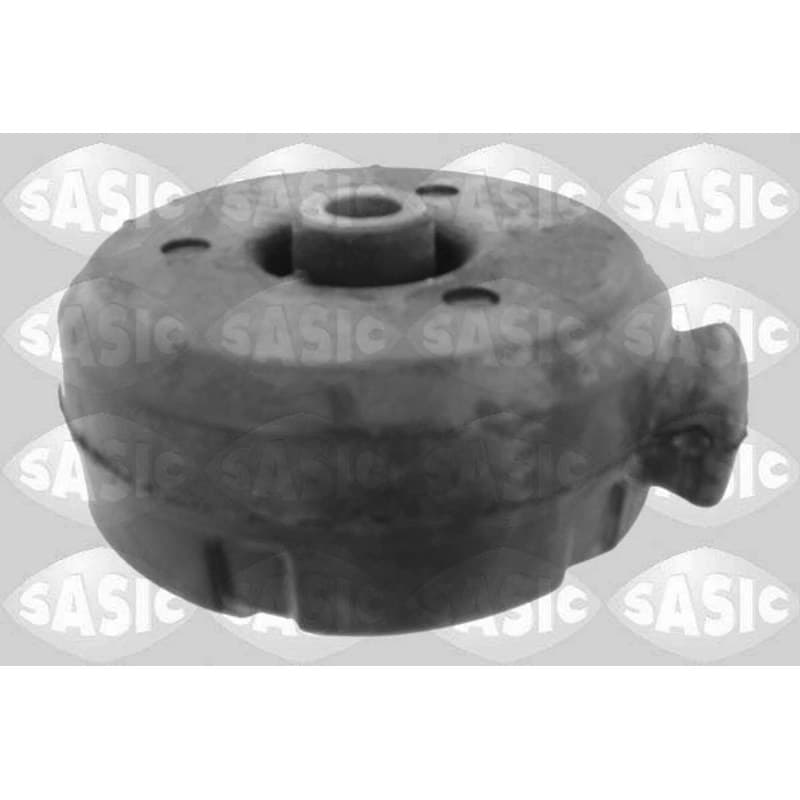 SASIC variklio montavimas 2704078