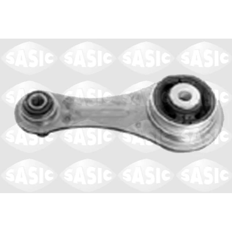 SASIC variklio montavimas 4001714