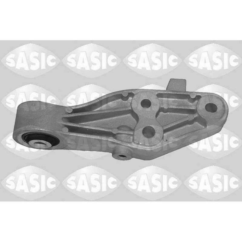SASIC variklio montavimas 2706552