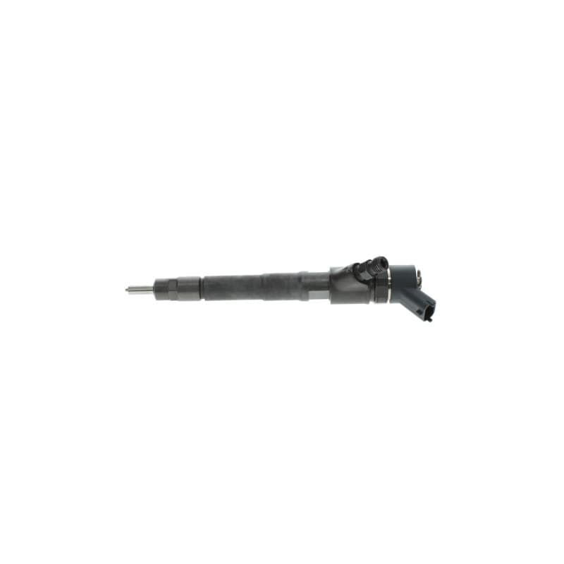 BOSCH 0 445 110 248 įpurškimo antgalis