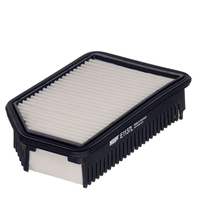 HENGSTFILTER oro filtras E1137L