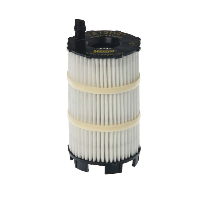 HENGSTFILTER Alyvos filtras E813H01 D188