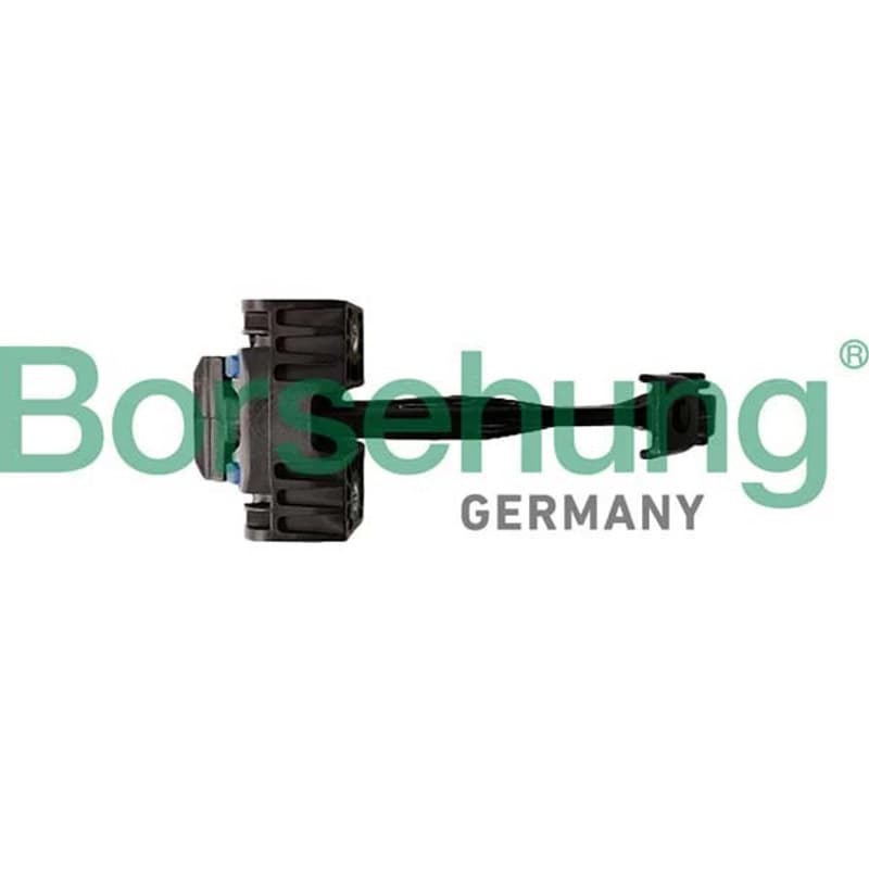 BORSEHUNG durų sklendė B10278