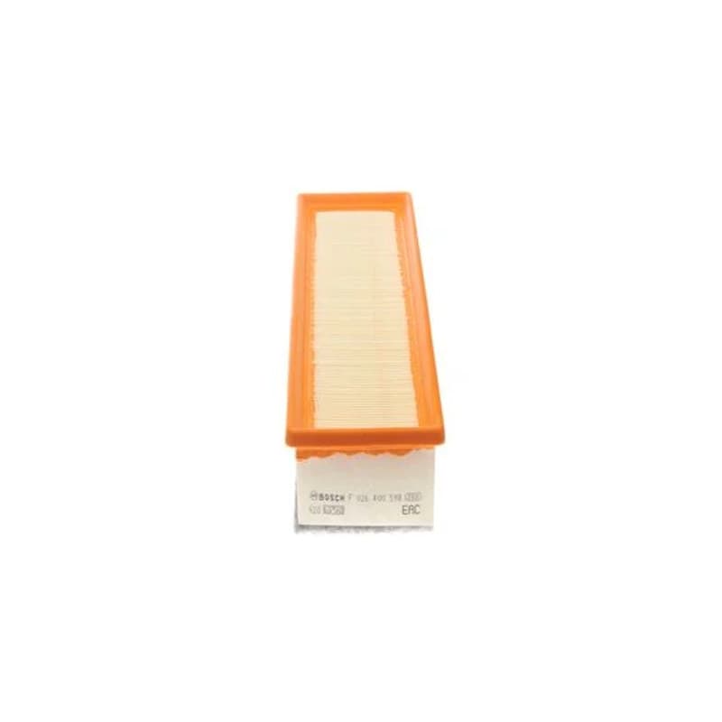 BOSCH F 026 400 598 oro filtras