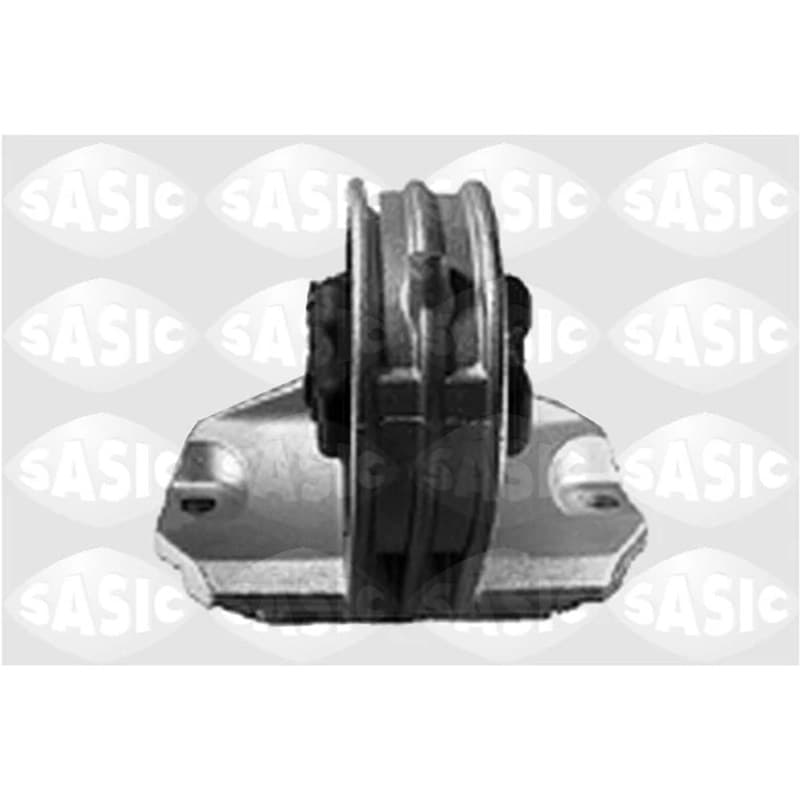 SASIC variklio montavimas 4001353