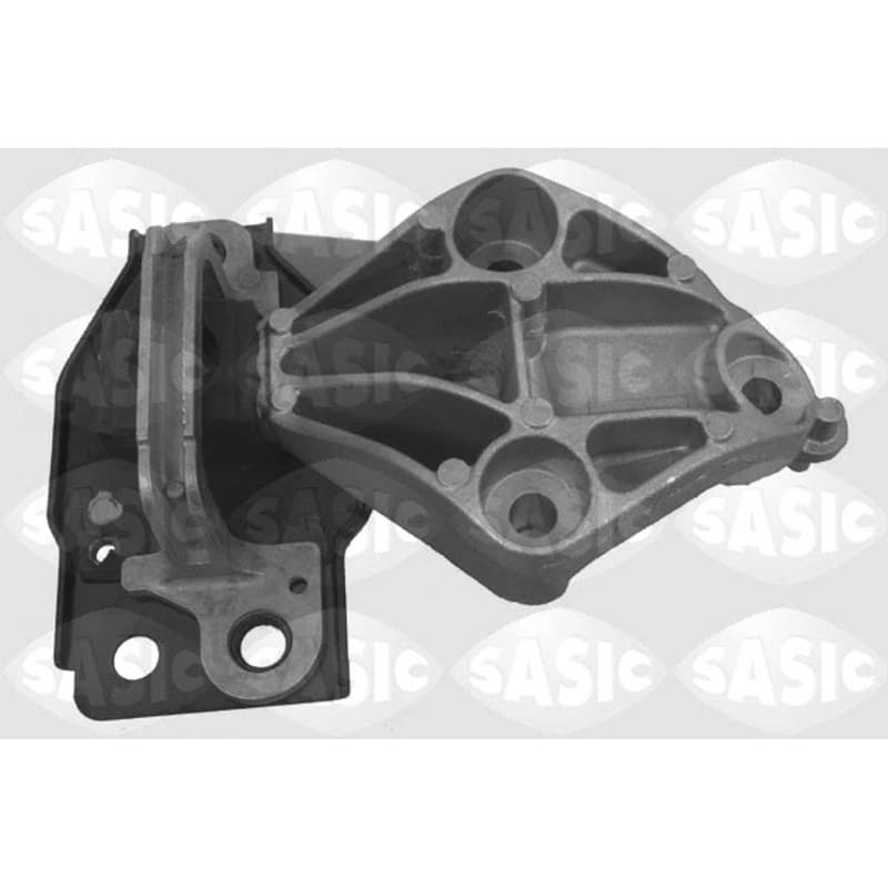 SASIC variklio montavimas 2704001