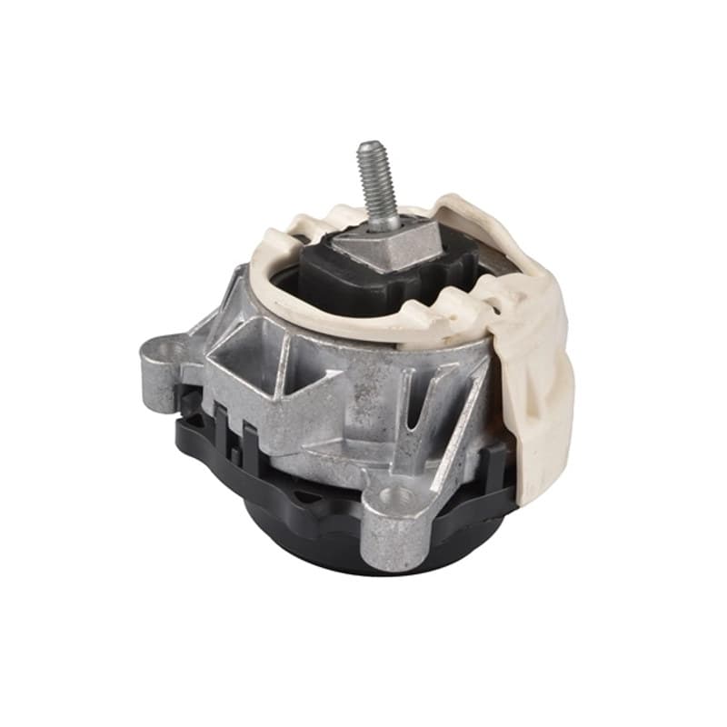 TEDGUM variklio montavimas TED55453