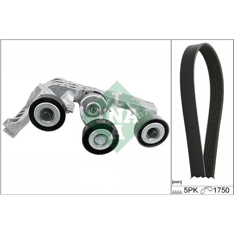 SCHAEFFLERINA V formos rumbuotas diržas, komplektas 529 0081 10