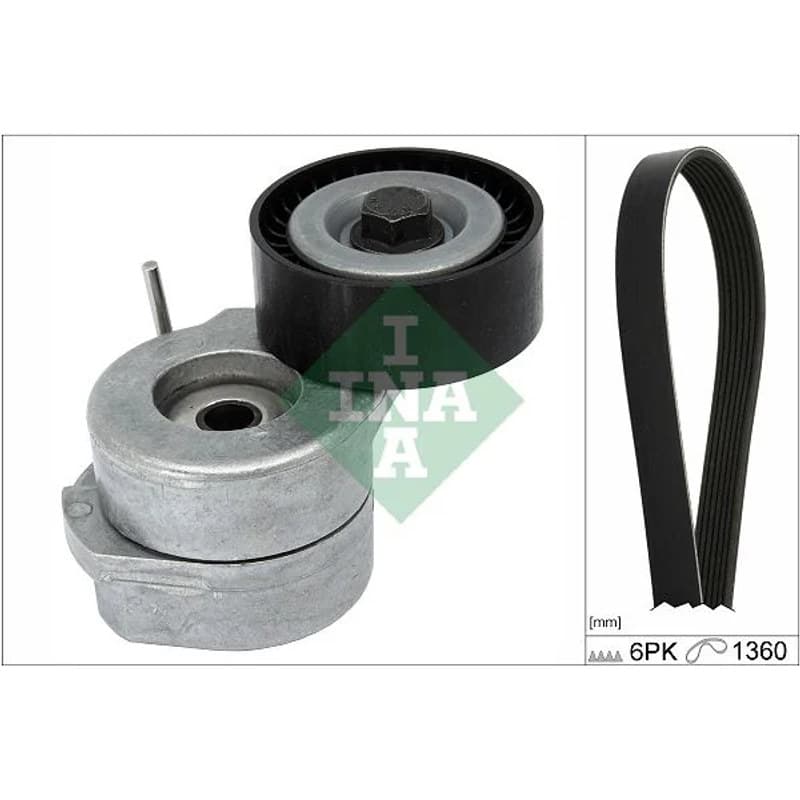 SCHAEFFLERINA V formos rumbuotas diržas, komplektas 529 0293 10