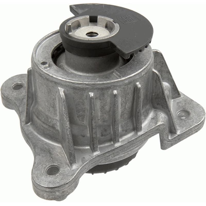 LEMFRDER variklio montavimas 39519 01
