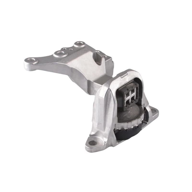 TEDGUM variklio montavimas TED49780