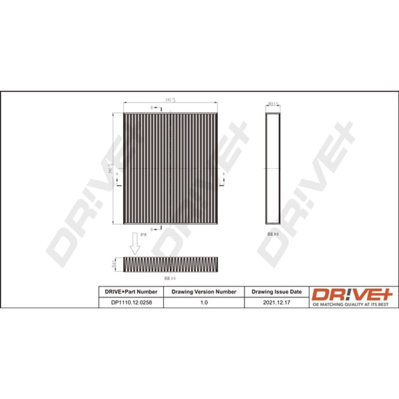 DRVE filtras, salono oras DP1110.12.0258