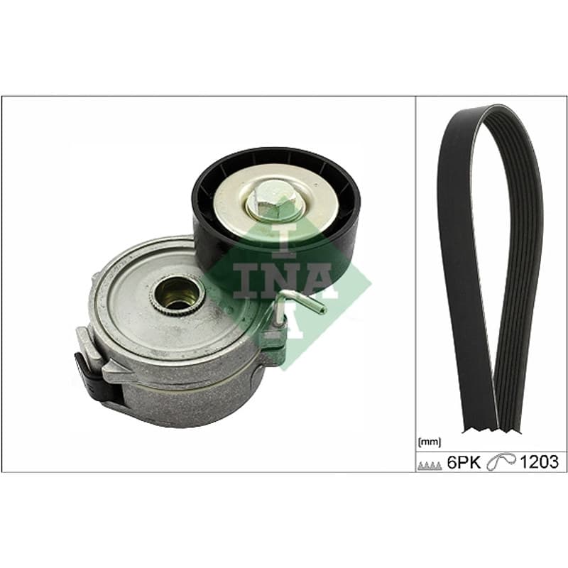 SCHAEFFLERINA V formos rumbuotas diržas, komplektas 529 0357 10