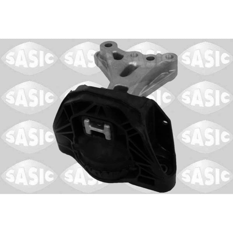 SASIC variklio montavimas 2700079