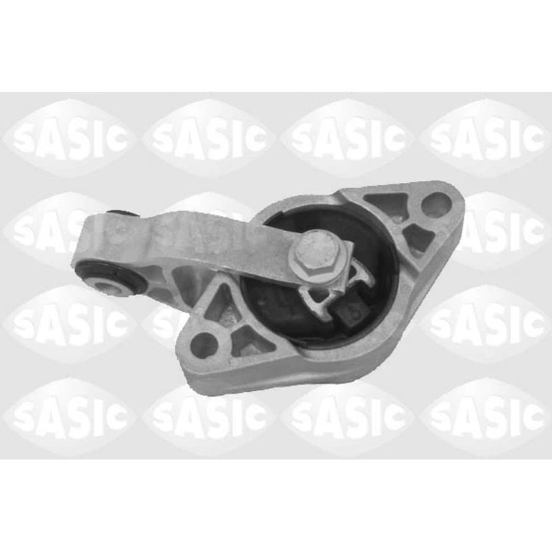 SASIC variklio montavimas 2704032