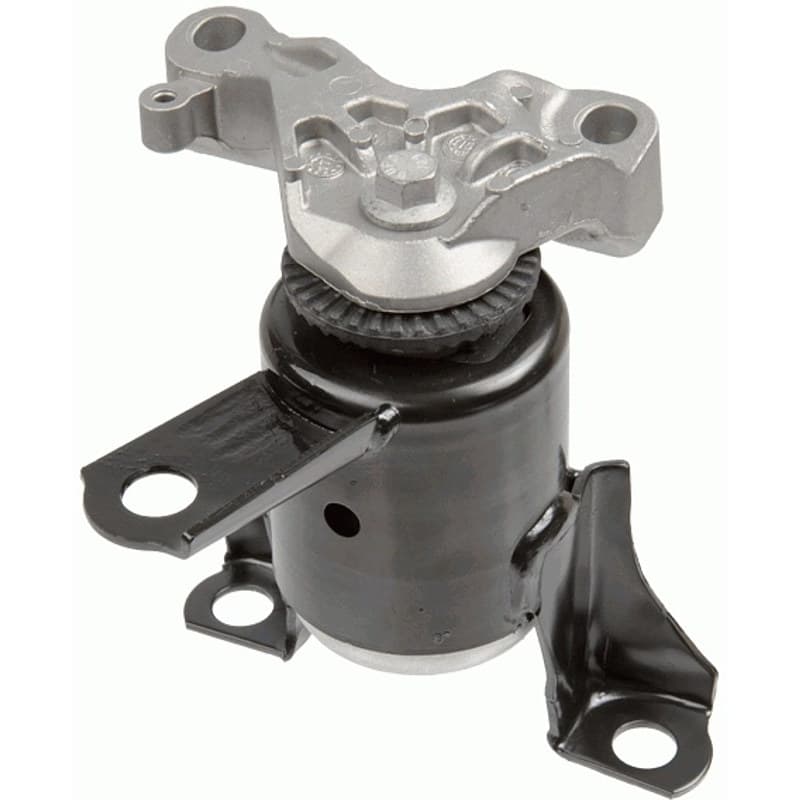 LEMFRDER variklio montavimas 39441 01