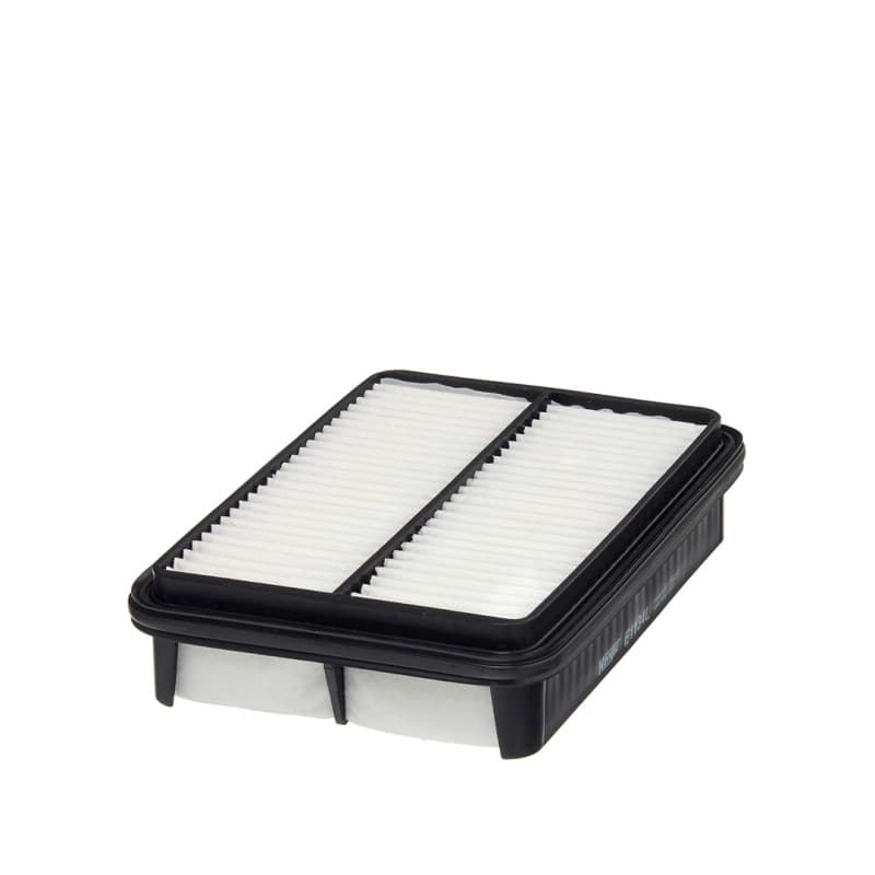 HENGSTFILTER oro filtras E1134L