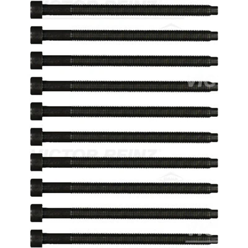 VICTORREINZ varžtų kompl., cil. galvutės varžtai 14-32121-01