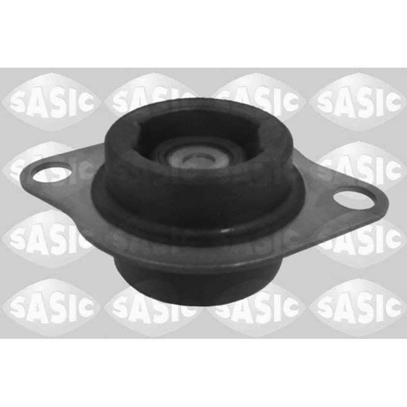 SASIC variklio montavimas 2704046