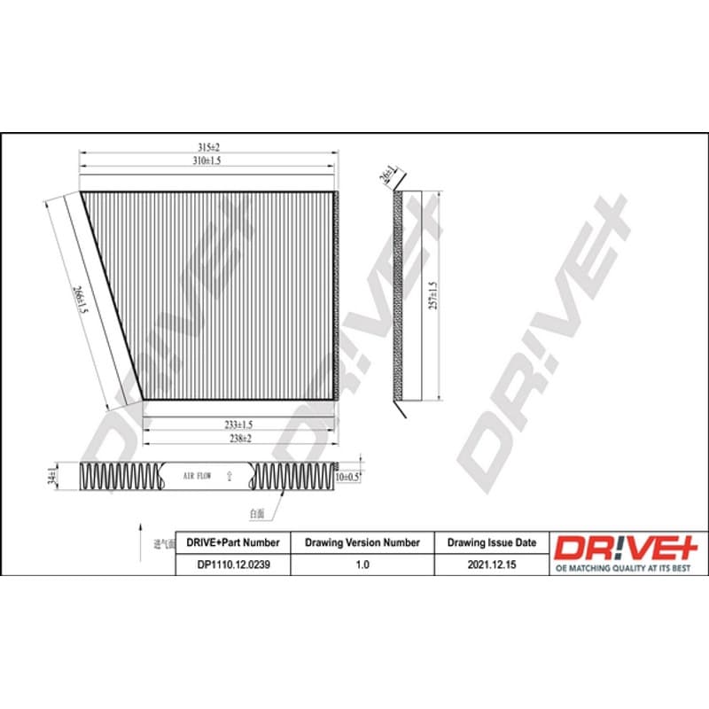 DRVE filtras, salono oras DP1110.12.0239