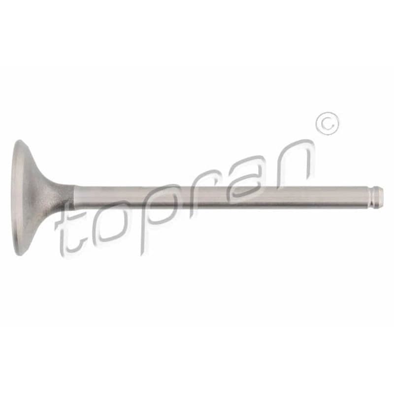 TOPRAN 700 657 įvado vožtuvas