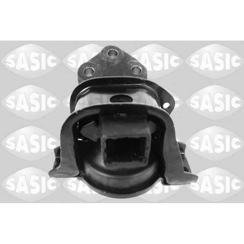 SASIC variklio montavimas 2700044