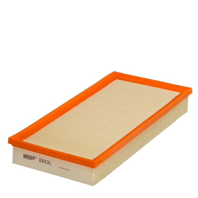 HENGSTFILTER Oro filtras E653L