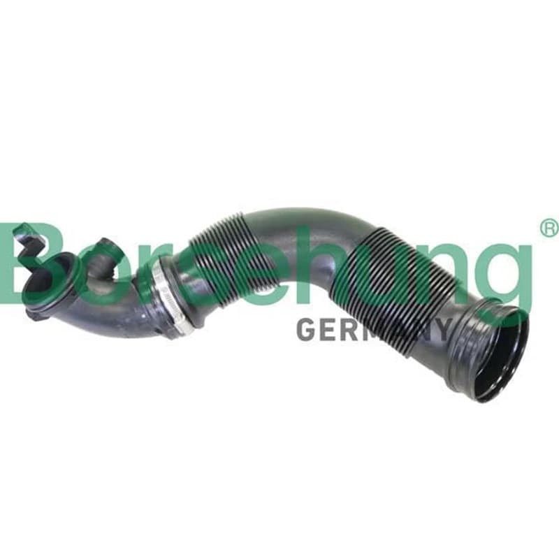 BORSEHUNG įleidimo vamzdelis B12335
