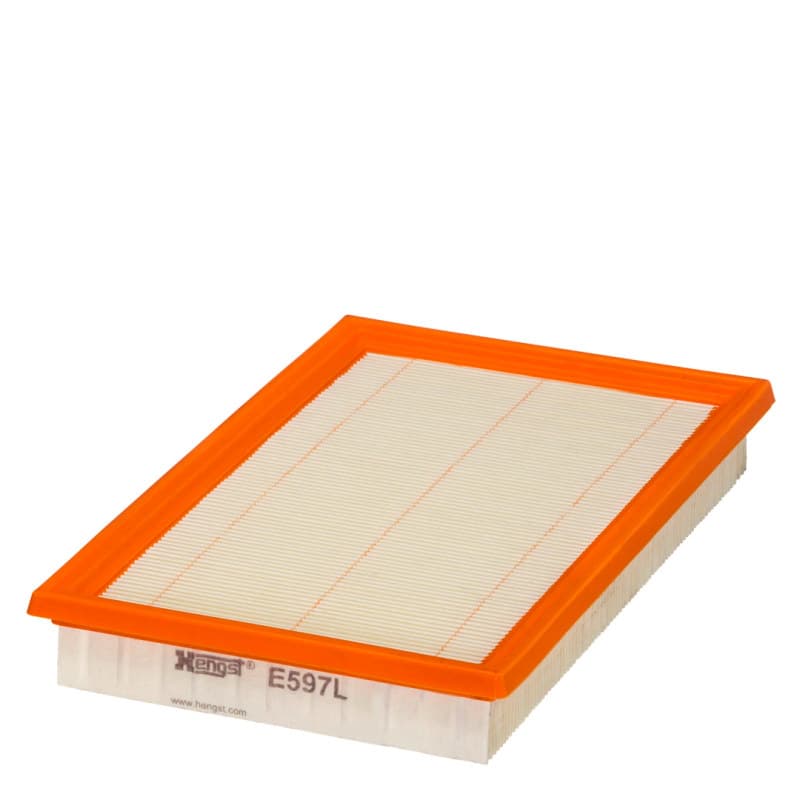 HENGSTFILTER oro filtras E597L