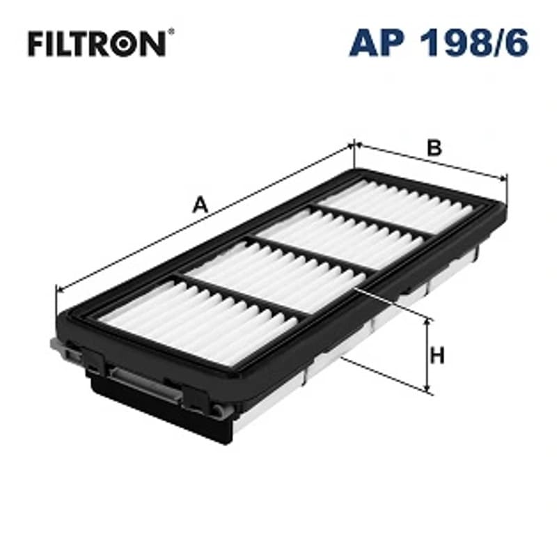 FILTRON AP 198/6 oro filtras
