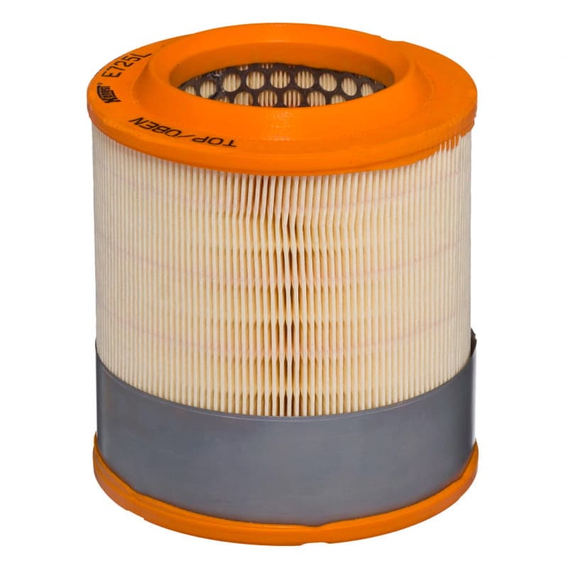 HENGSTFILTER oro filtras E725L