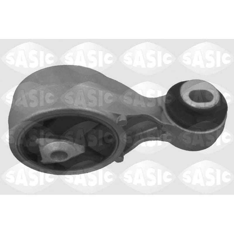 SASIC variklio montavimas 2704002