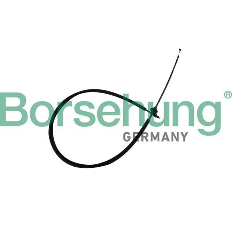 BORSEHUNG gaubto trosas B10778