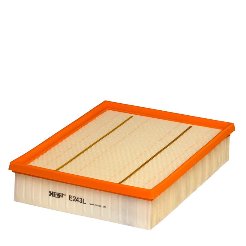 HENGSTFILTER oro filtras E243L